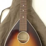 795 4593 Mandolin